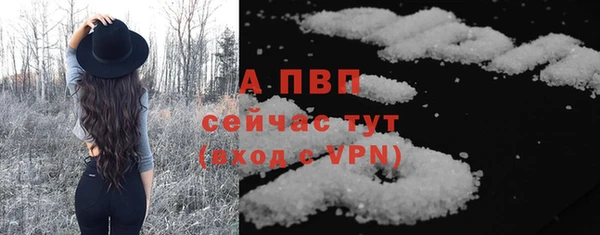 сатива Карталы