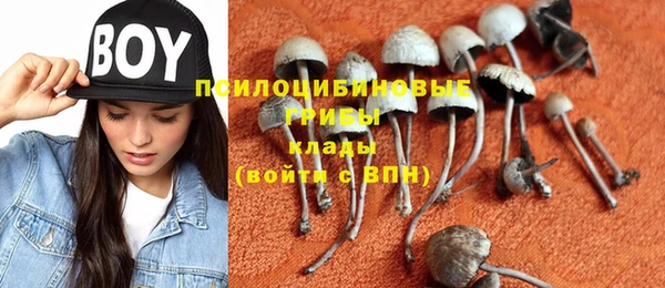 сатива Карталы
