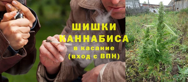 сатива Карталы
