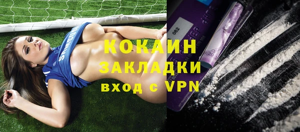 сатива Карталы