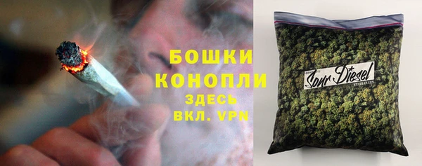 сатива Карталы